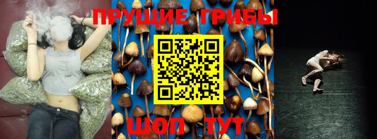 Галлюциногенные грибы GOLDEN TEACHER Сызрань