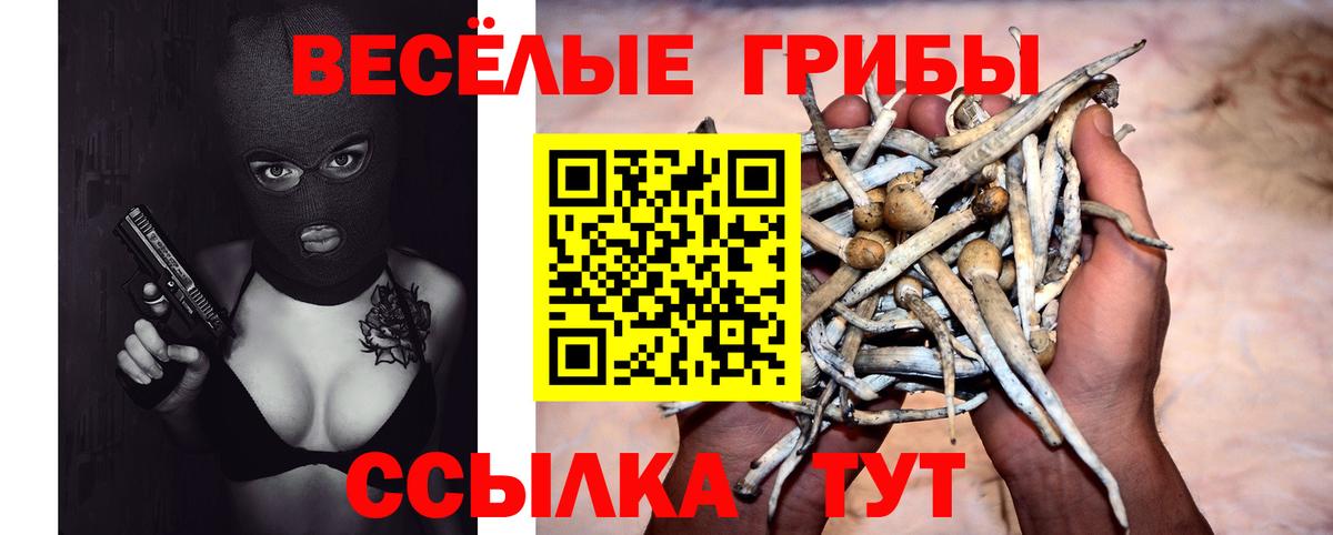 Галлюциногенные грибы ЛСД  Псилоцибиновые грибы прущие грибы  Вход с VPN  Сызрань 